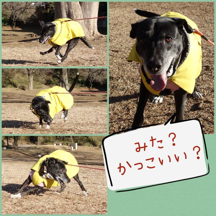 0c787ded 4182 4739 bb82 e14e019ab3f5 1739412629725