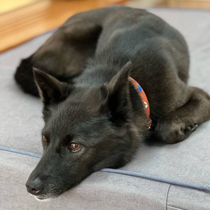 0c7887e4 7fd2 4250 95c7 322a30dd1416 1659743702564