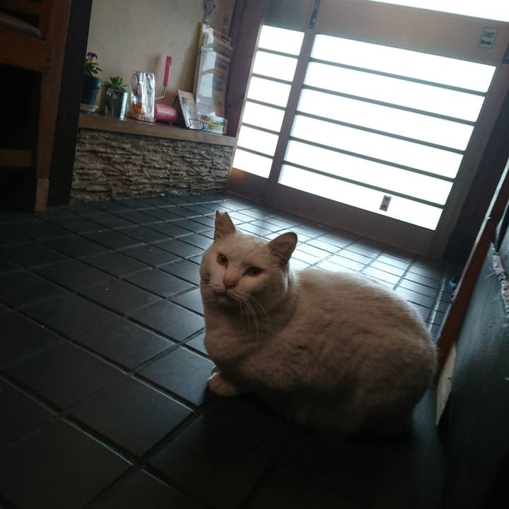 0c791089 8168 4a98 927d 78b0562d0cdd 1547266636360