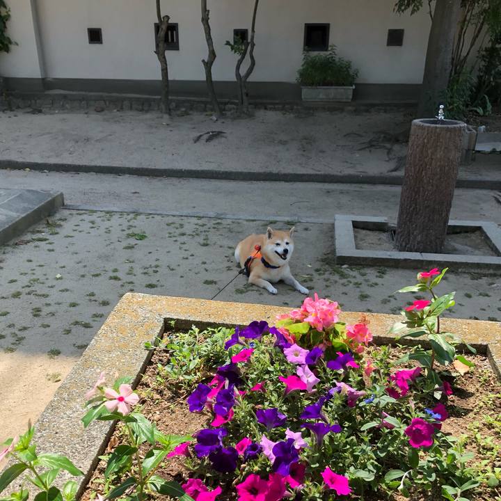 0c792650 e467 4538 8a16 d3027e1fdaef 1559818550800