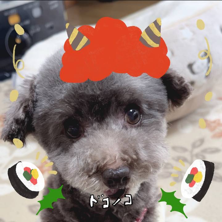 0c793866 f94b 469a 966d c0daa9d6972c 1706762906665