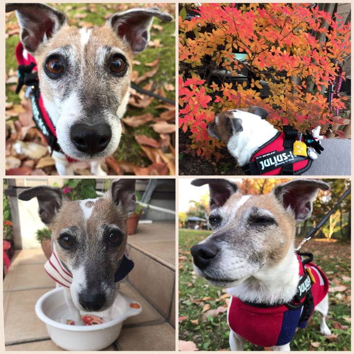 0c7965f8 c976 49c8 84c6 8fddd8dc11a1 1512524308473