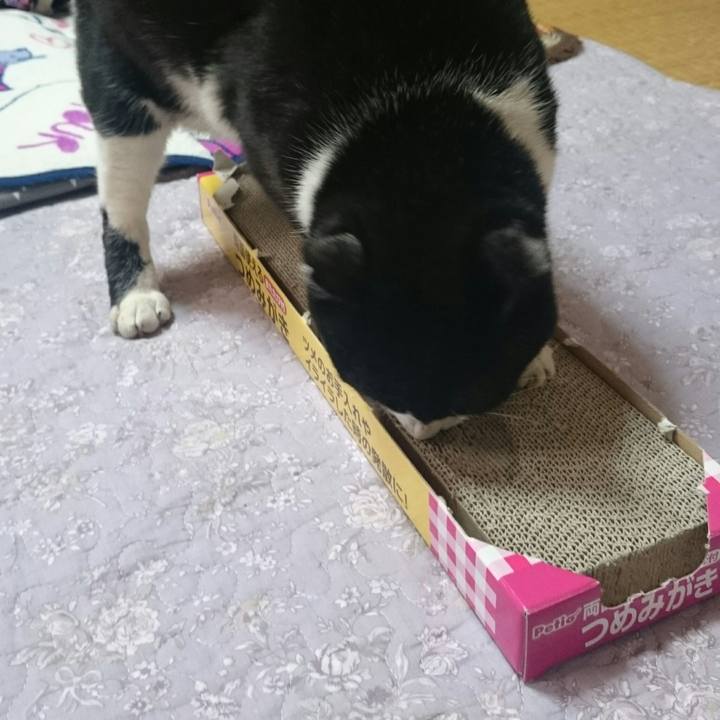 0c799193 c5a0 45b2 b754 6c2e82e8f780 1515046128665