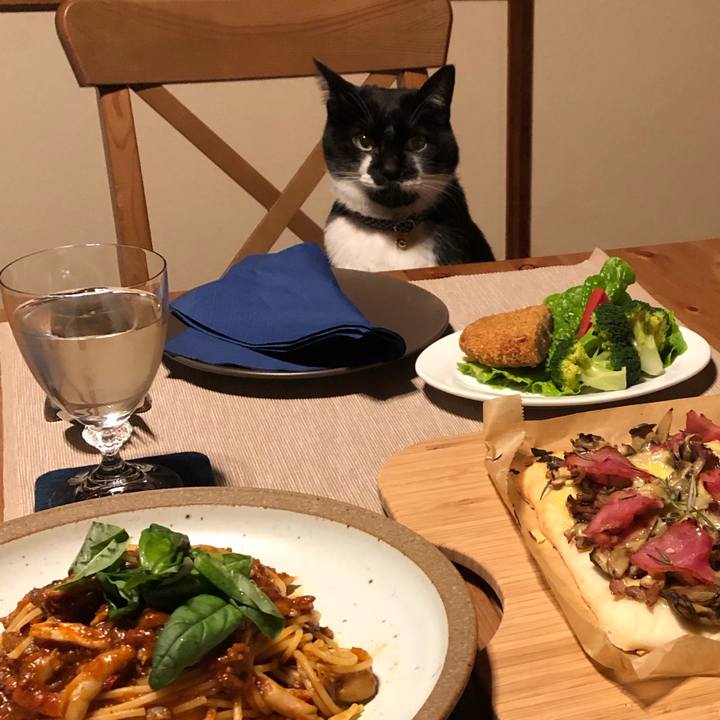 0c79a756 0b7a 4a33 a43f d14bd603e94f 1547379346628