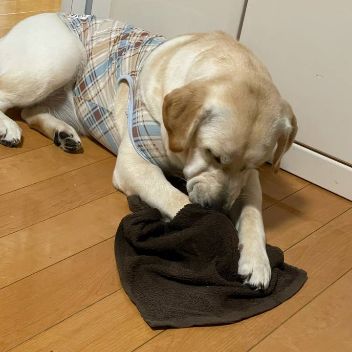 0c7a3e85 889c 482f 8af6 6169ae7d22cc 1628437084757