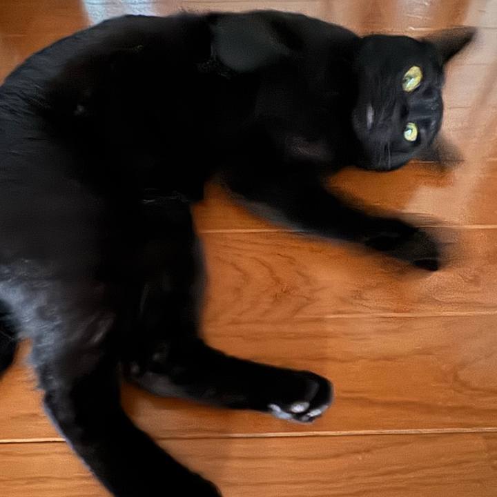 0c7a6d48 af67 4a58 aa54 c0c7313b4c59 1750826503743