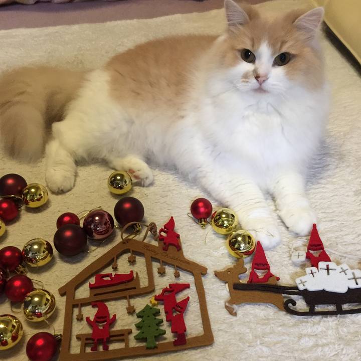 0c7a6f56 5073 4308 acf2 129d70f666a6 1508673481239