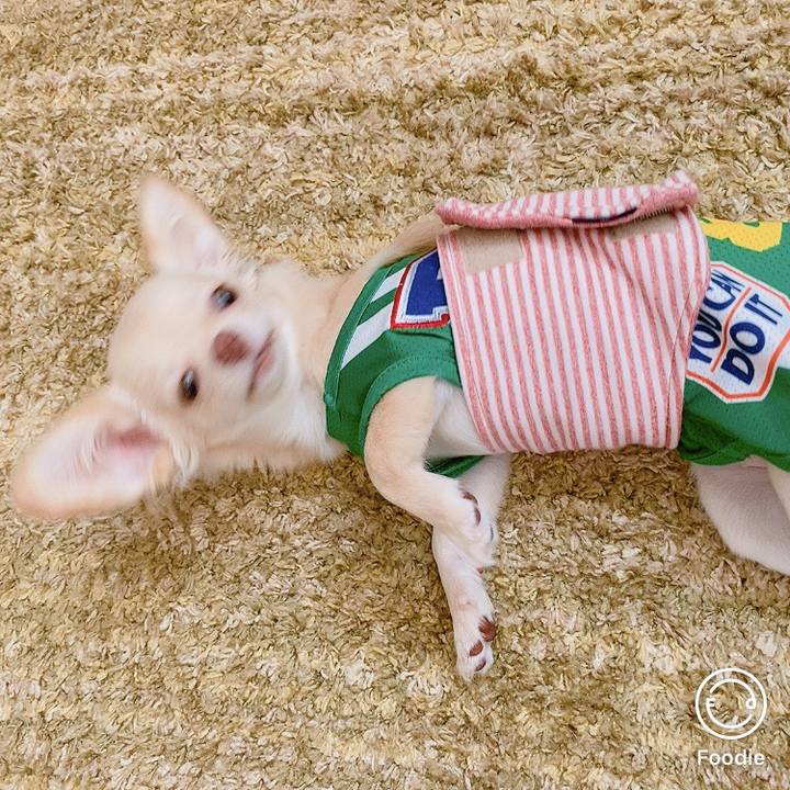 0c7a7e78 c870 4dab 9616 0fcaef6b5016 1598846556896