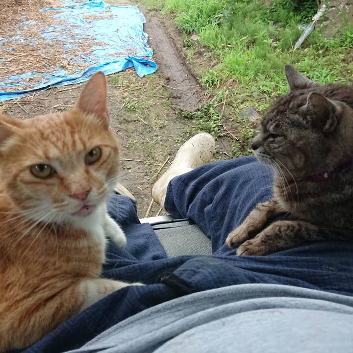 0c7ace9f 6621 425d a12c 2fe097c28f9b 1594674711318