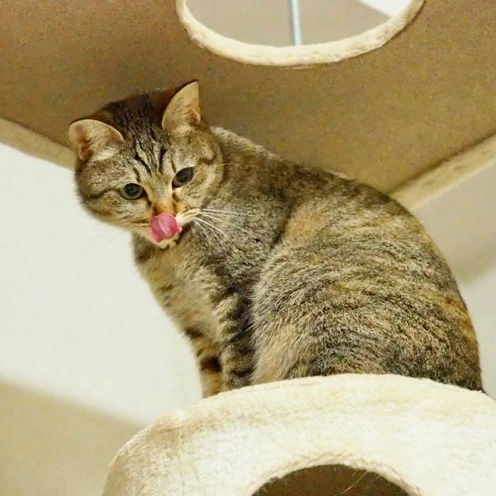 0c7adb7a 3a7e 4724 9c8d 2b343ffcfcea 1584783672257