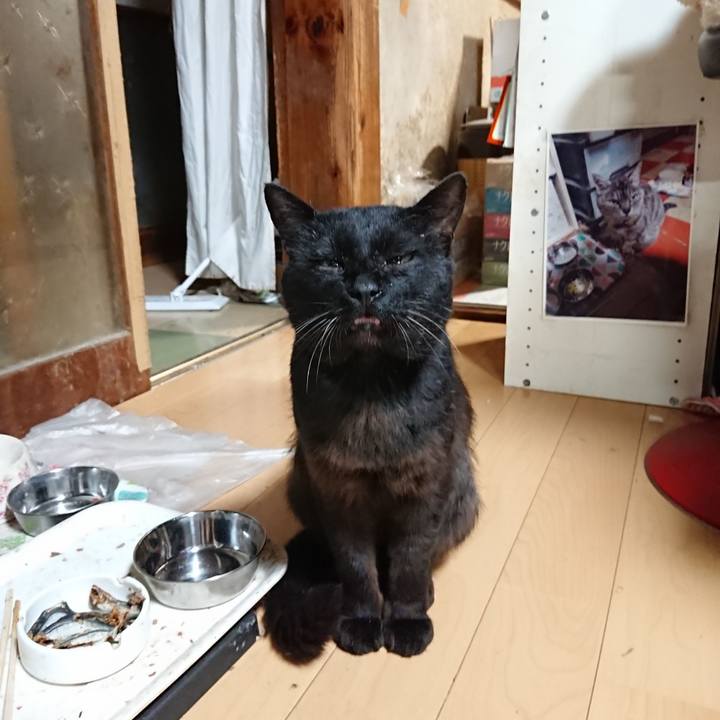 0c7ae1e3 bb10 4290 bf70 eb50f9daf1f5 1625742674302