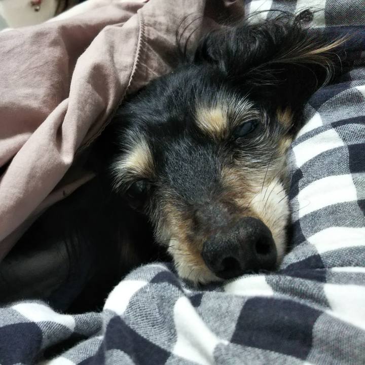 0c7af85b 64ce 4864 96be c60200c7c4d4 1638218421922