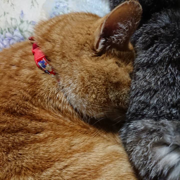 0c7b04af f9b8 418a 9492 63aca602acc6 1578489108631