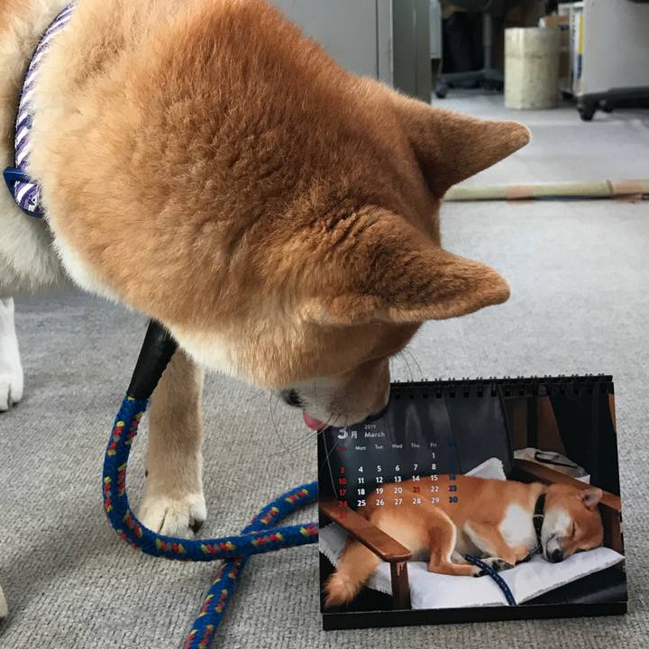 0c7b12b1 ae81 4cec bf14 7e956d895c11 1552463410774