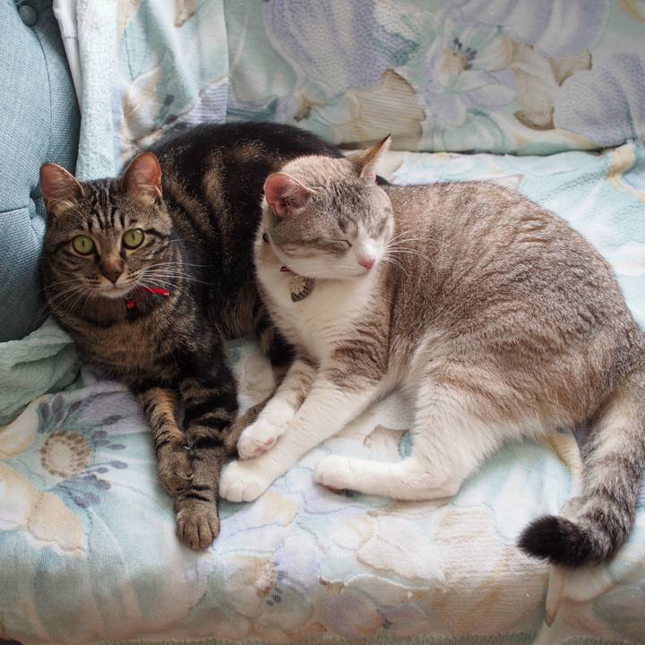 0c7b2493 c60f 44c3 8d51 377ec3c489db 1567136351158