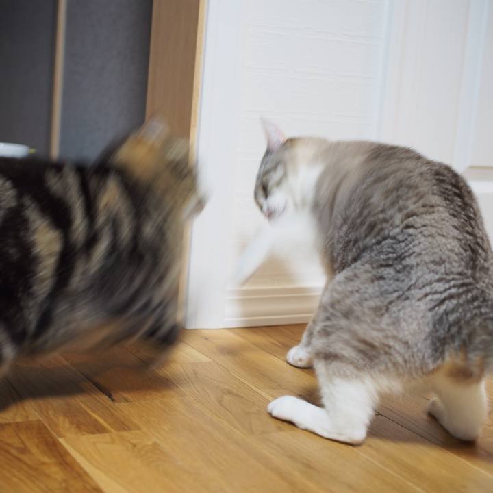 0c7b5f19 3442 4790 ab8e 506b8ed0a6e7 1590489588087