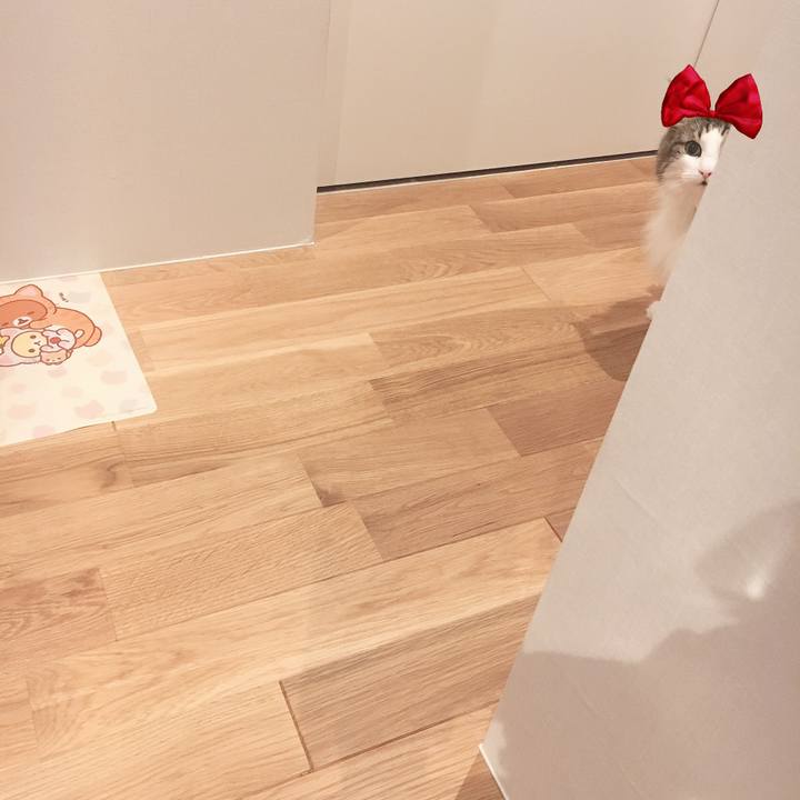 0c7b9d34 c228 418a bc38 4e84a3ae2568 1563547959309