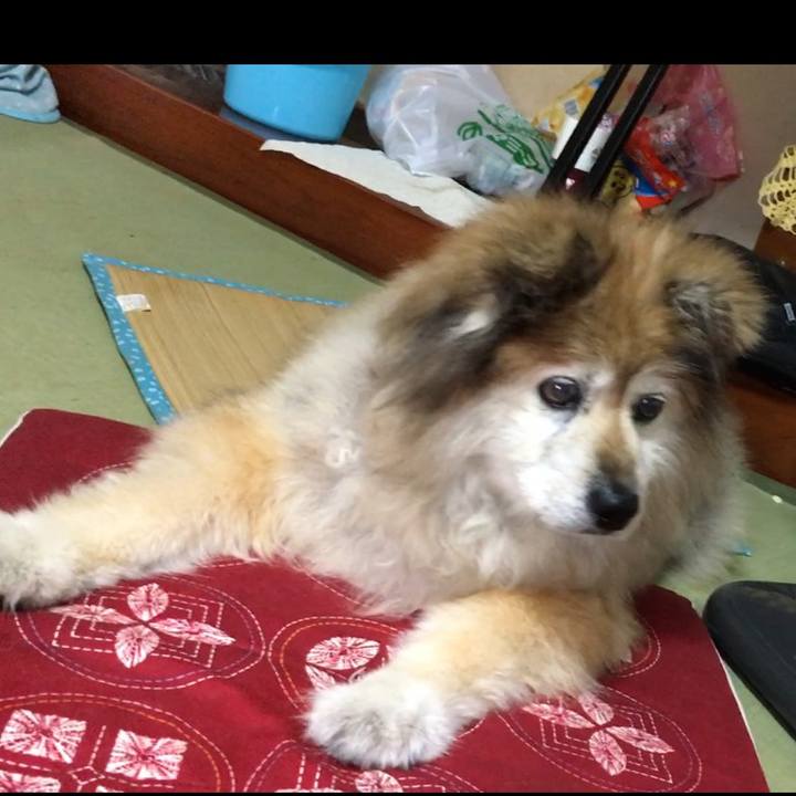 0c7bc635 c996 4b68 b16d 96424169f351 1597731360671