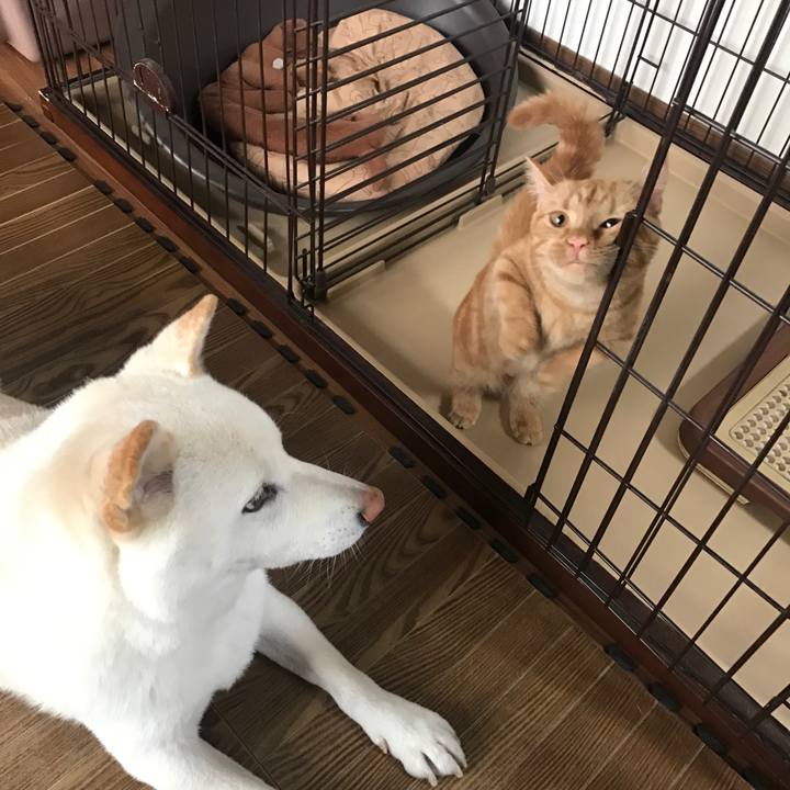 0c7be92e 3aba 4d06 945e 0c619d9c0b78 1512089107193