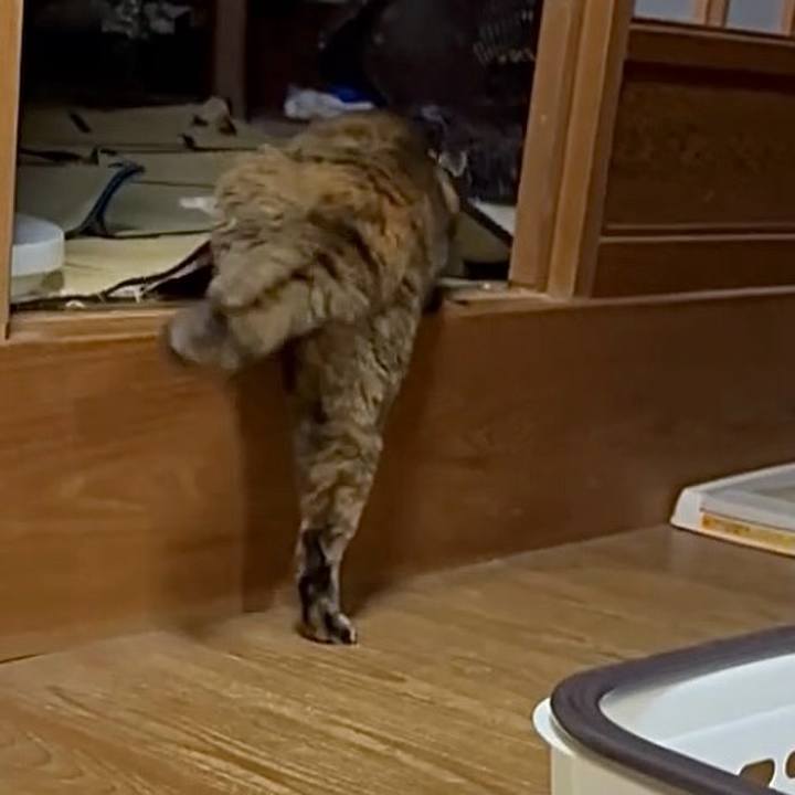 0c7bfb82 5c06 4242 8762 0d9aa7b367df 1763585014829