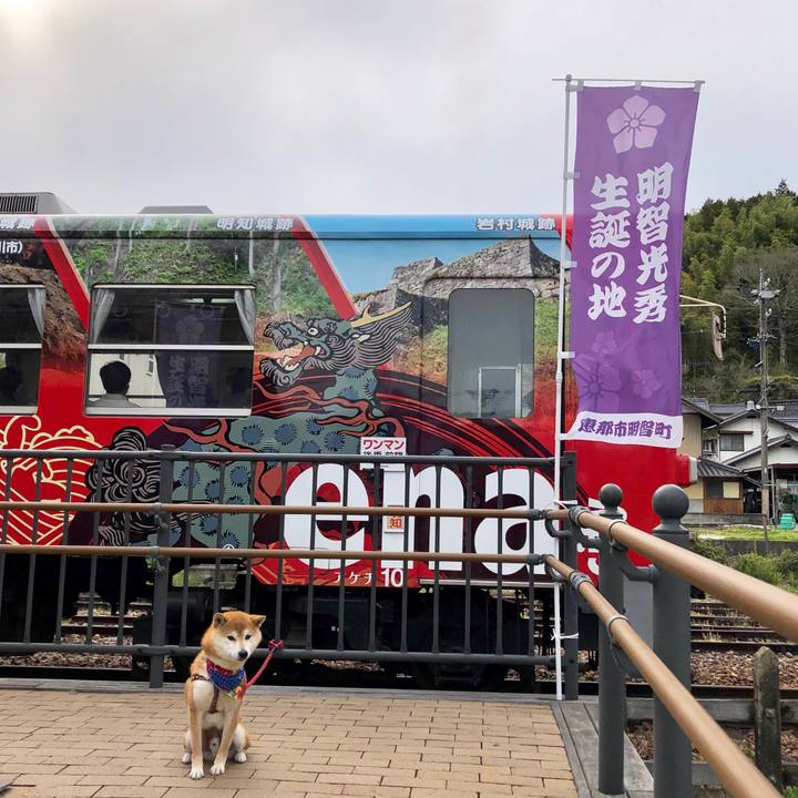 0c7c0a5e 709f 4804 942d 8743288cf59e 1556439311570