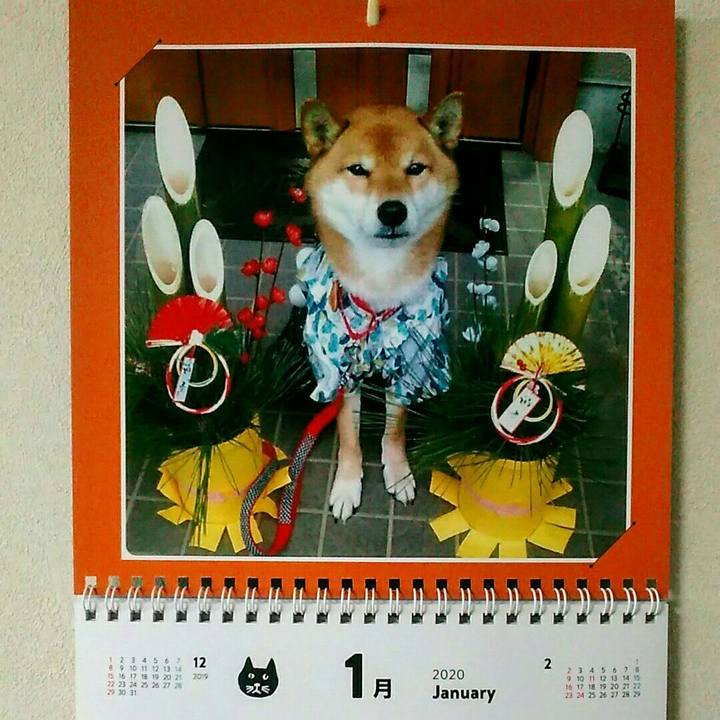 0c7c0f2a 61cc 4dc3 893f b5850bb2648c 1578386549216