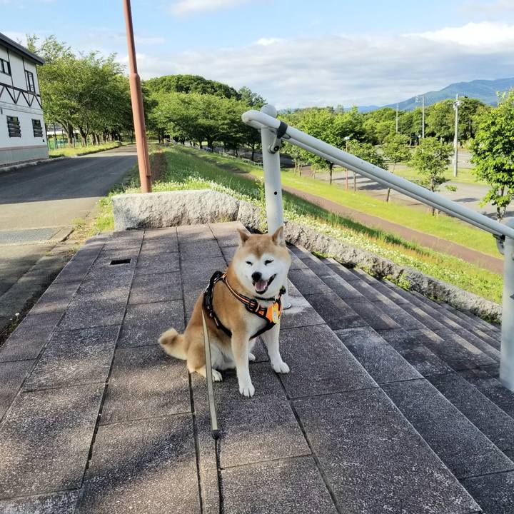 0c7c4fc9 31e5 42fe 9044 e5ea04b9870b 1654759215779