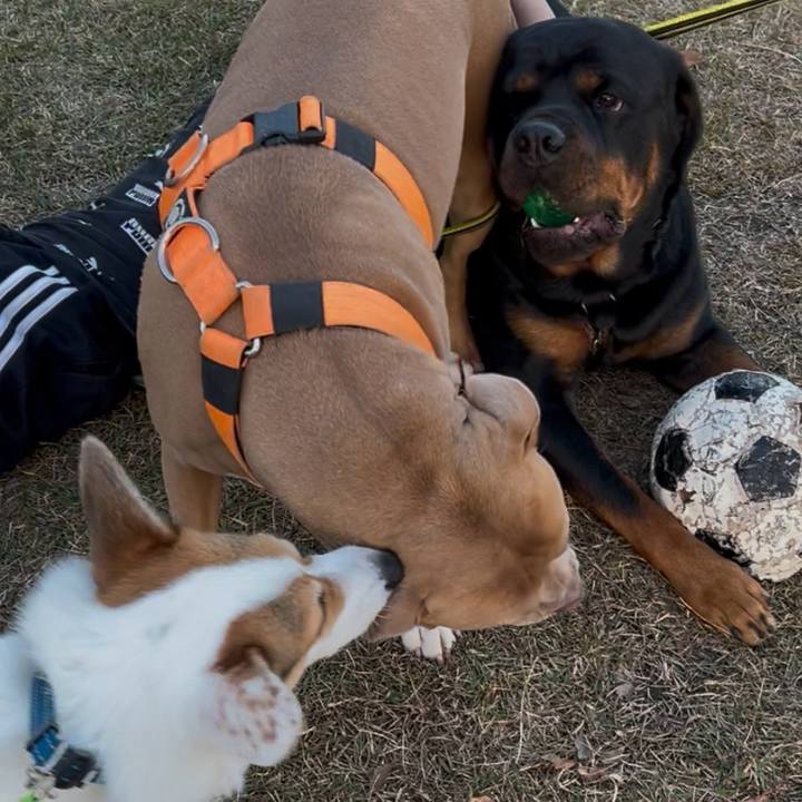 0c7c6af5 b732 4391 8822 89f89027abc0 1764734096428