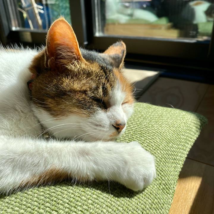 0c7c835f cc1f 406b b701 88312ac12495 1675564863315