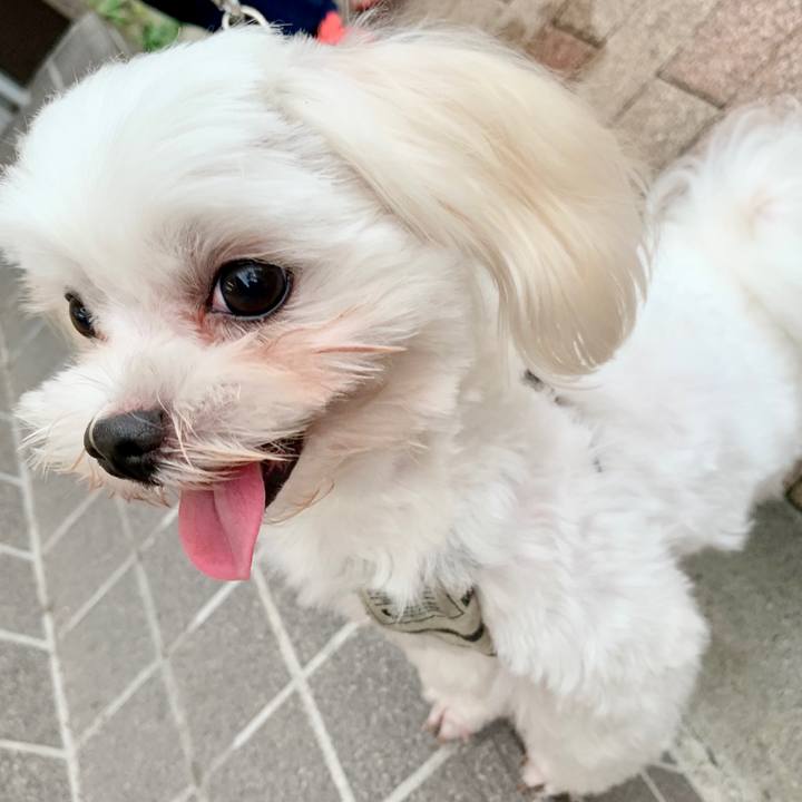 0c7c93cf 491f 4bca 88a2 d78c5209f57f 1624069045320