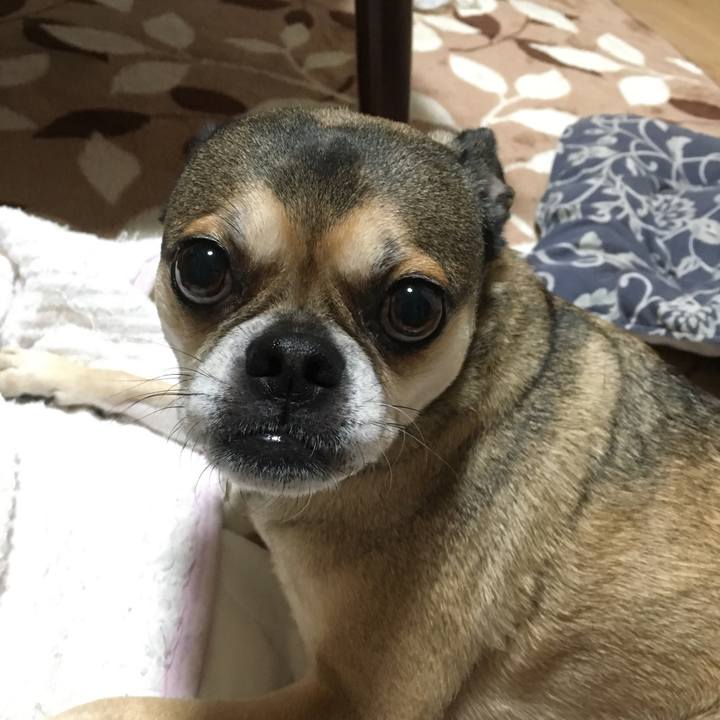 0c7ccb7a a892 468c 81c4 95fea9b261da 1511931333571