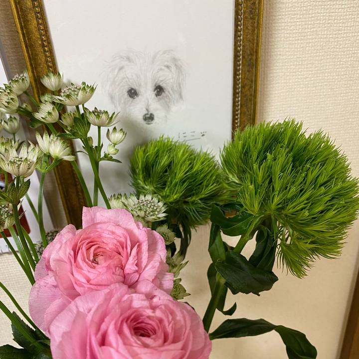 0c7cd5b3 9817 4346 8c47 c614937c1071 1668895943858