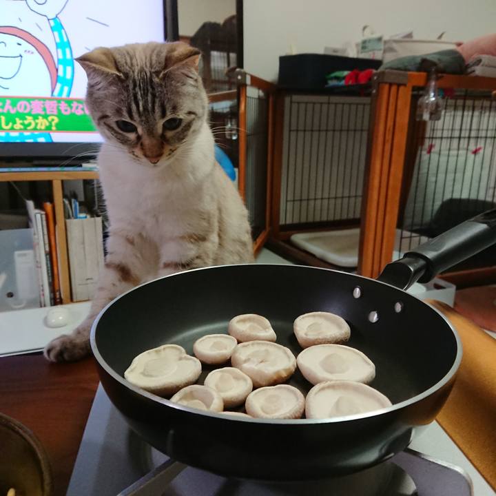 0c7cdcea dd97 4f3b aa64 6dff94e23bde 1589628023043