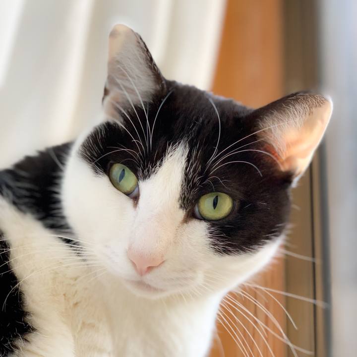 0c7d02c7 f2c9 452c abc7 134bfa63780a 1579570599028