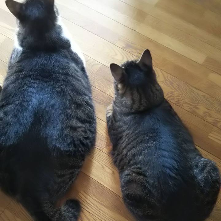 0c7d4e60 bff7 4b82 bcf1 b349d4b08f37 1632445780622