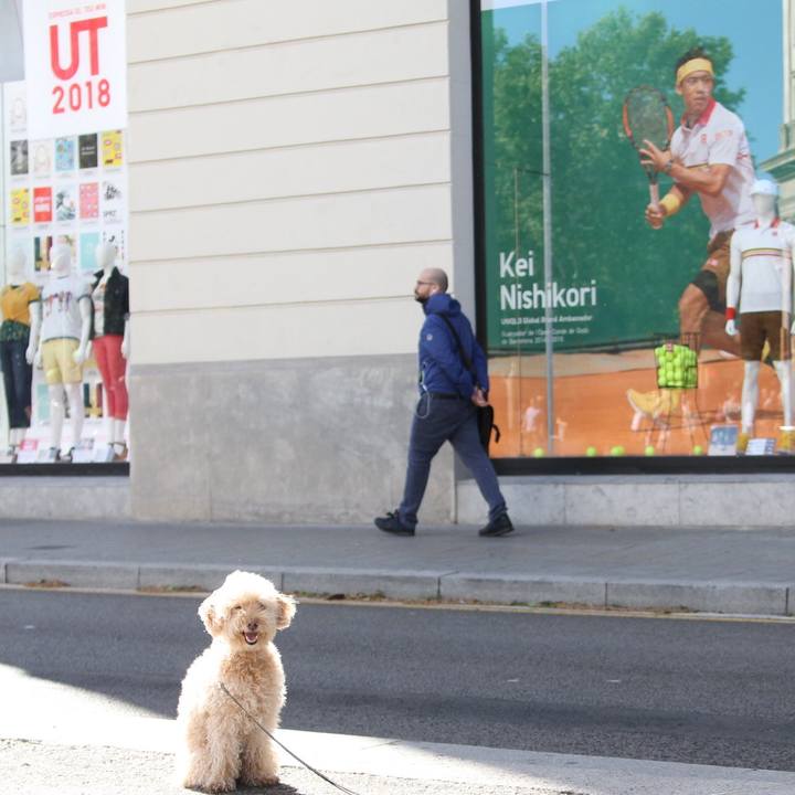 0c7d677d d2b9 4d19 ae89 501cf64e1ee7 1525177757813