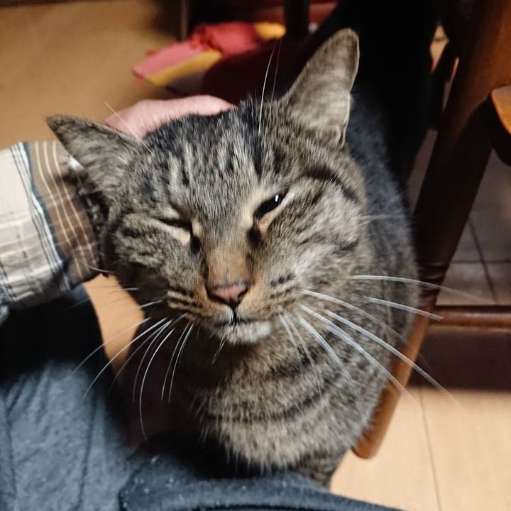 0c7d9990 98d3 44bb 8284 ac2e6a23bd9b 1637443326298