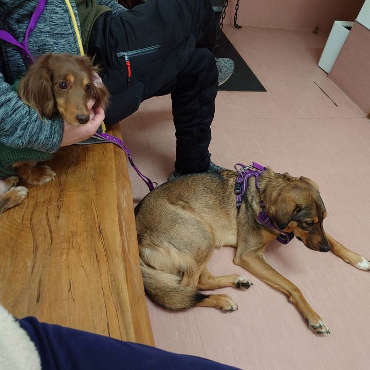 0c7db55a c27c 410b 8188 0a8640142a7c 1738377170368