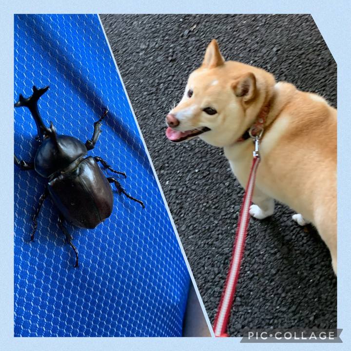 0c7db655 2544 4d87 b760 d19c1f4617d0 1626473189770