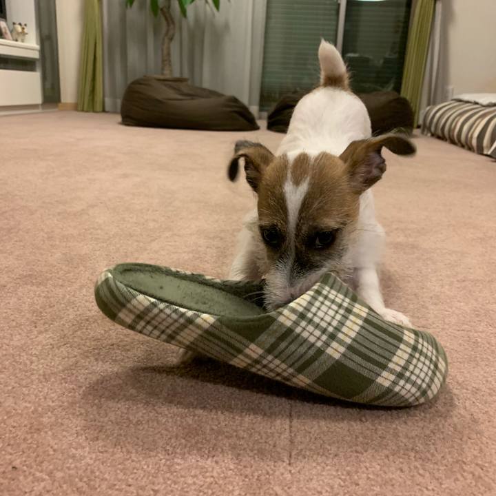 0c7dbad0 7d2c 4a6f b227 b26fbdf16727 1562326180468