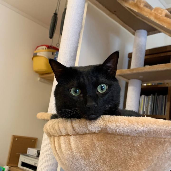 0c7de663 3832 41b8 b0e1 614c365acd73 1612739740695