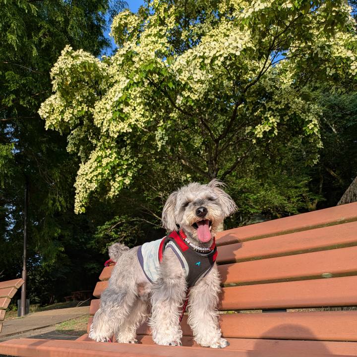 0c7e121d fdb1 44d6 911b 268ce51fd0e9 1750165226251