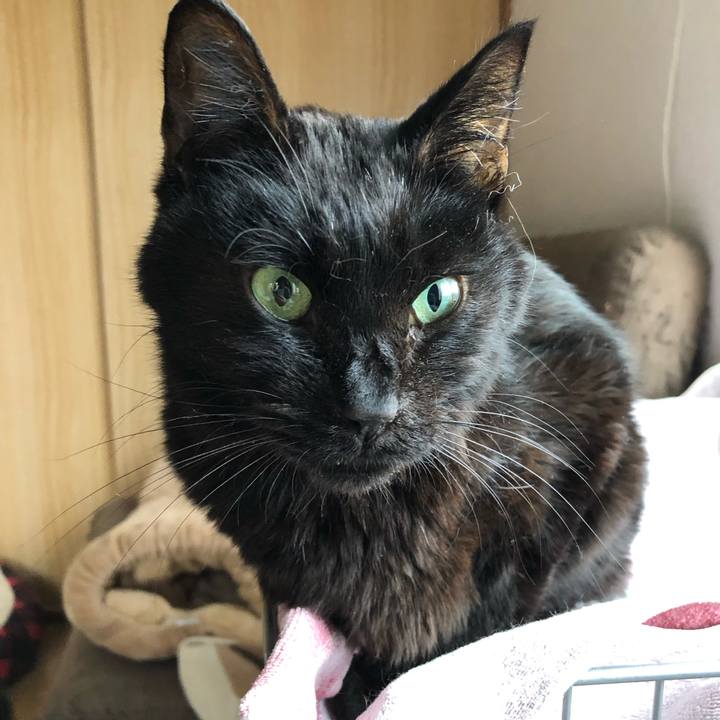 0c7e165e a8cd 4812 ac2f 057ff72e4d50 1556313895174