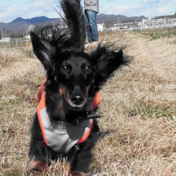 0c7e178e 8e68 436b b9a9 0675fcf047c0 1546150158959