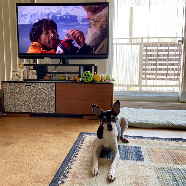 0c7e2fee c28a 46f2 9d69 55211b9c027f 1597558039870