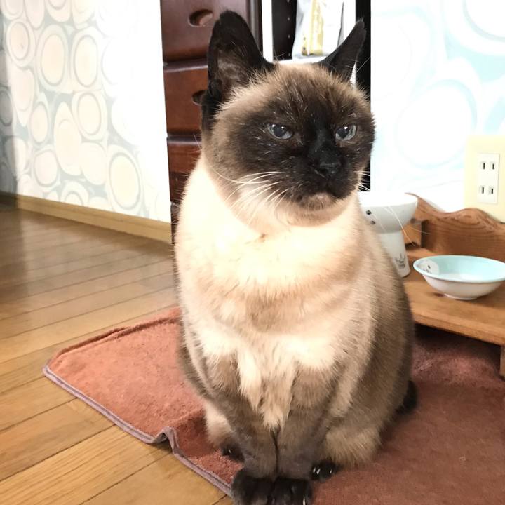 0c7e39e5 2fe2 47b4 af5b b62270ba1731 1589764980906