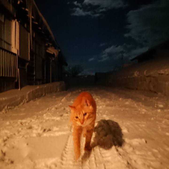 0c7e41b4 ba6f 4364 a51d 411324af1ac4 1642503709161