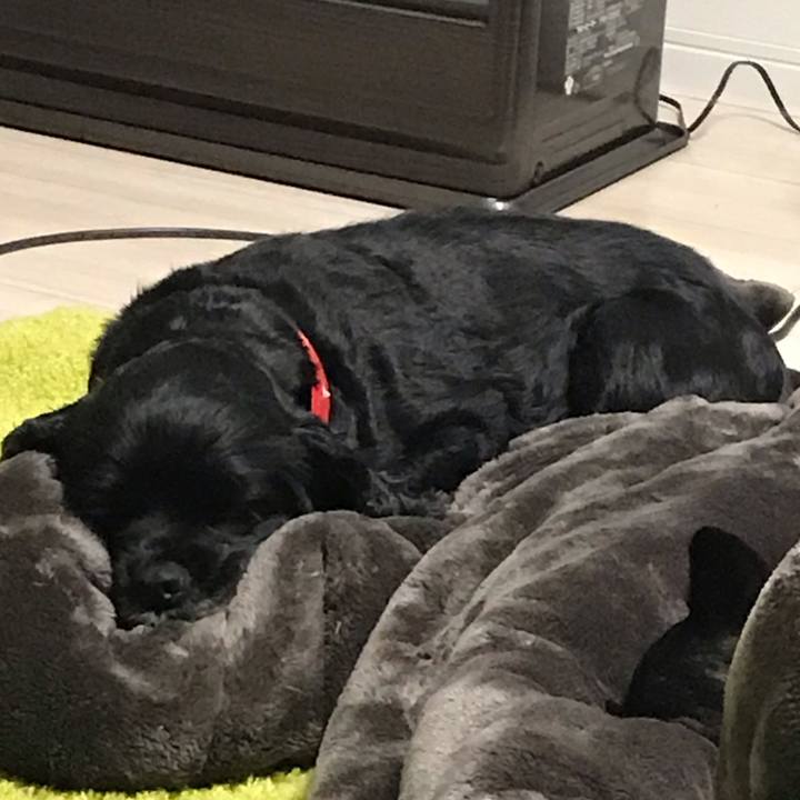 0c7e42dd 2b86 4b05 b8ae 379114ba22f7 1547291907088