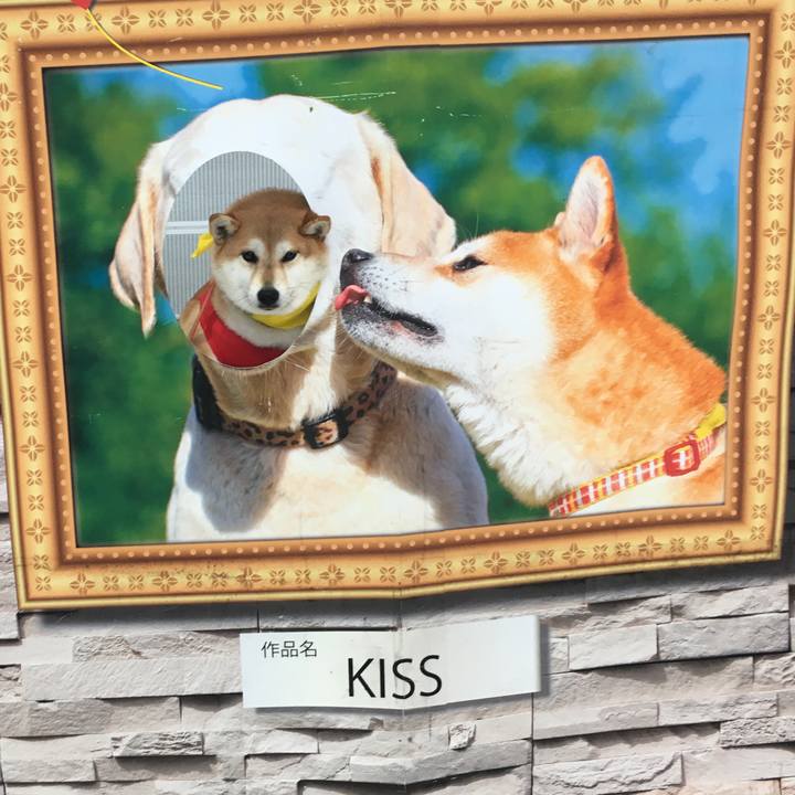 0c7e839f d61b 4a43 8988 eaceae22774f 1566636646623