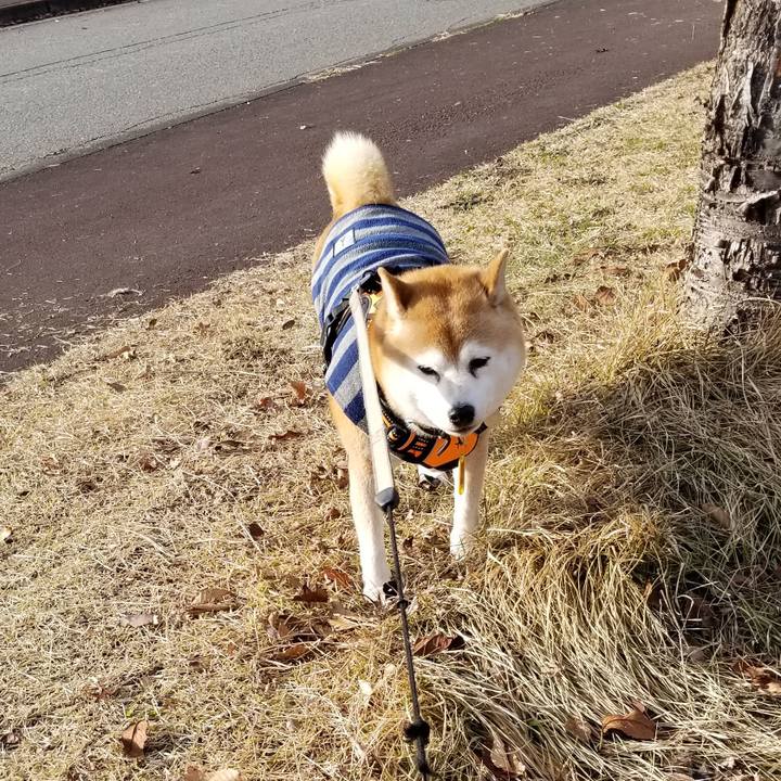 0c7eb0d8 bba5 4318 be69 b4921c1eb60a 1639545551549